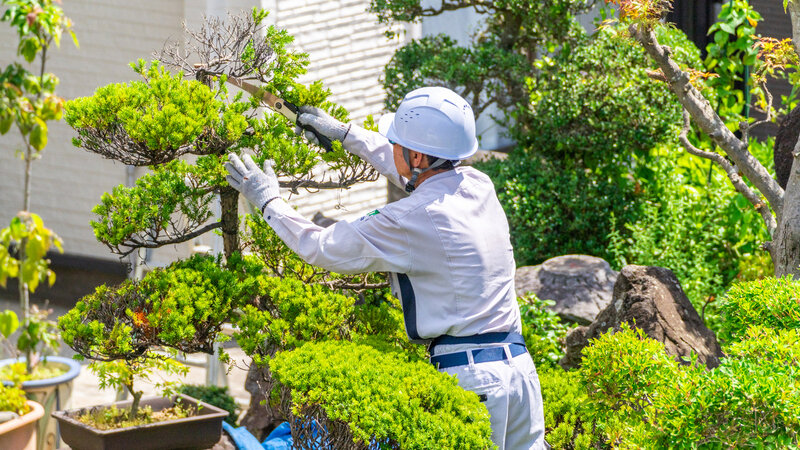 庭木伐採の費用相場を解説！安くする方法や業者の選び方も紹介