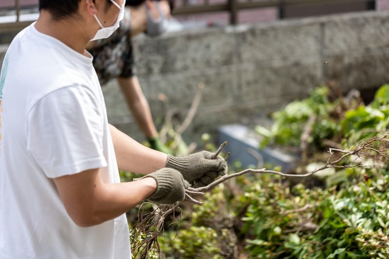 庭木を片付ける業者