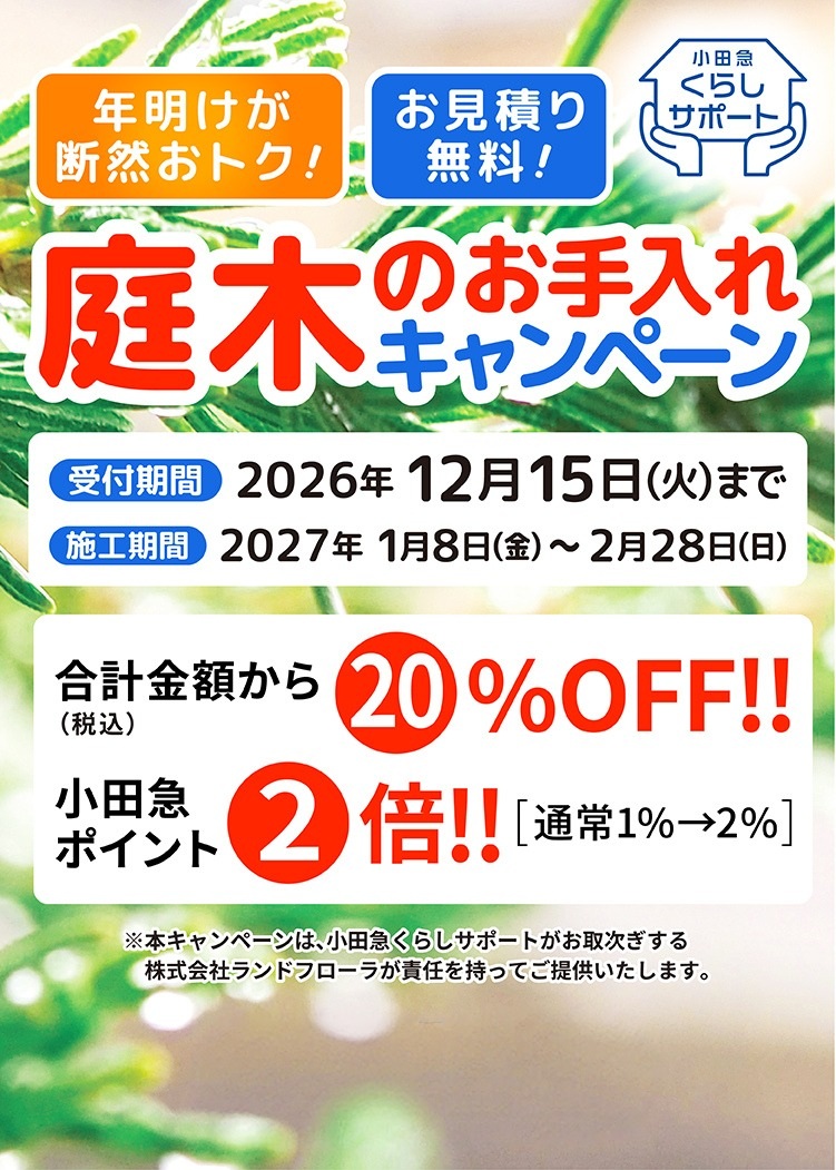 年始の庭木のお手入れ