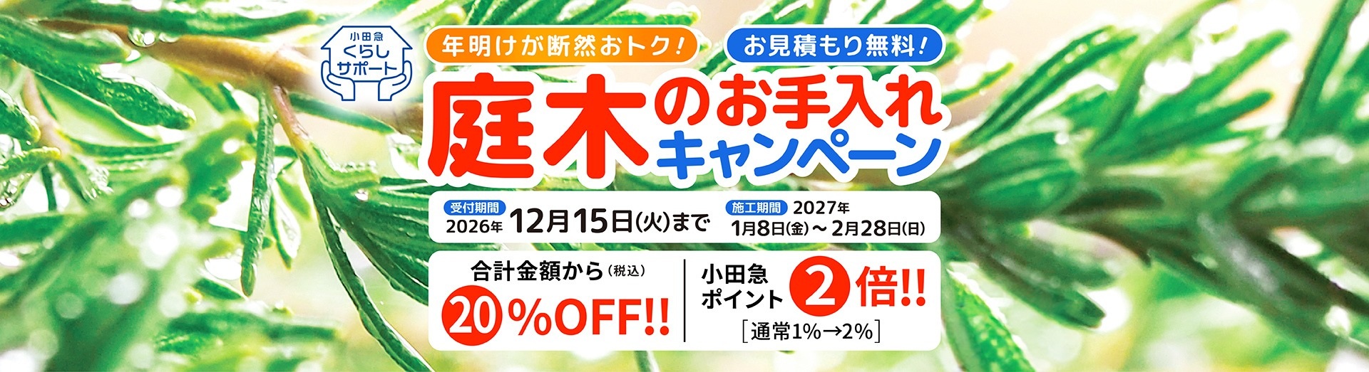 年始の庭木のお手入れ